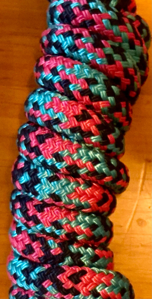 Lead Ropes 14ft training leads