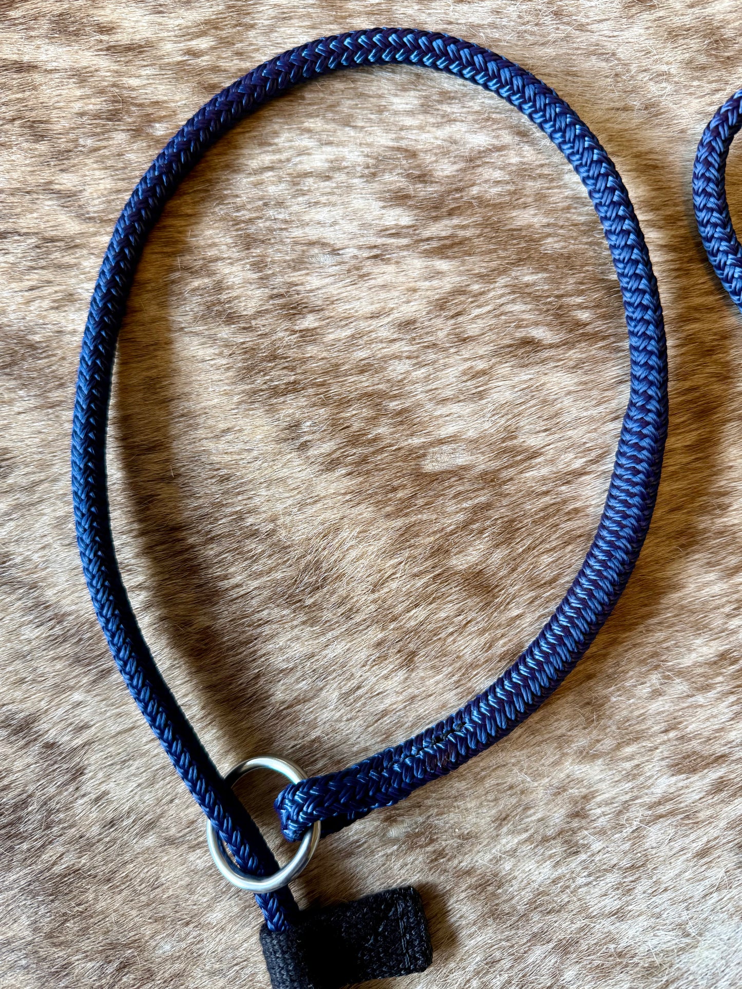 Rope Training slip Lead Dog