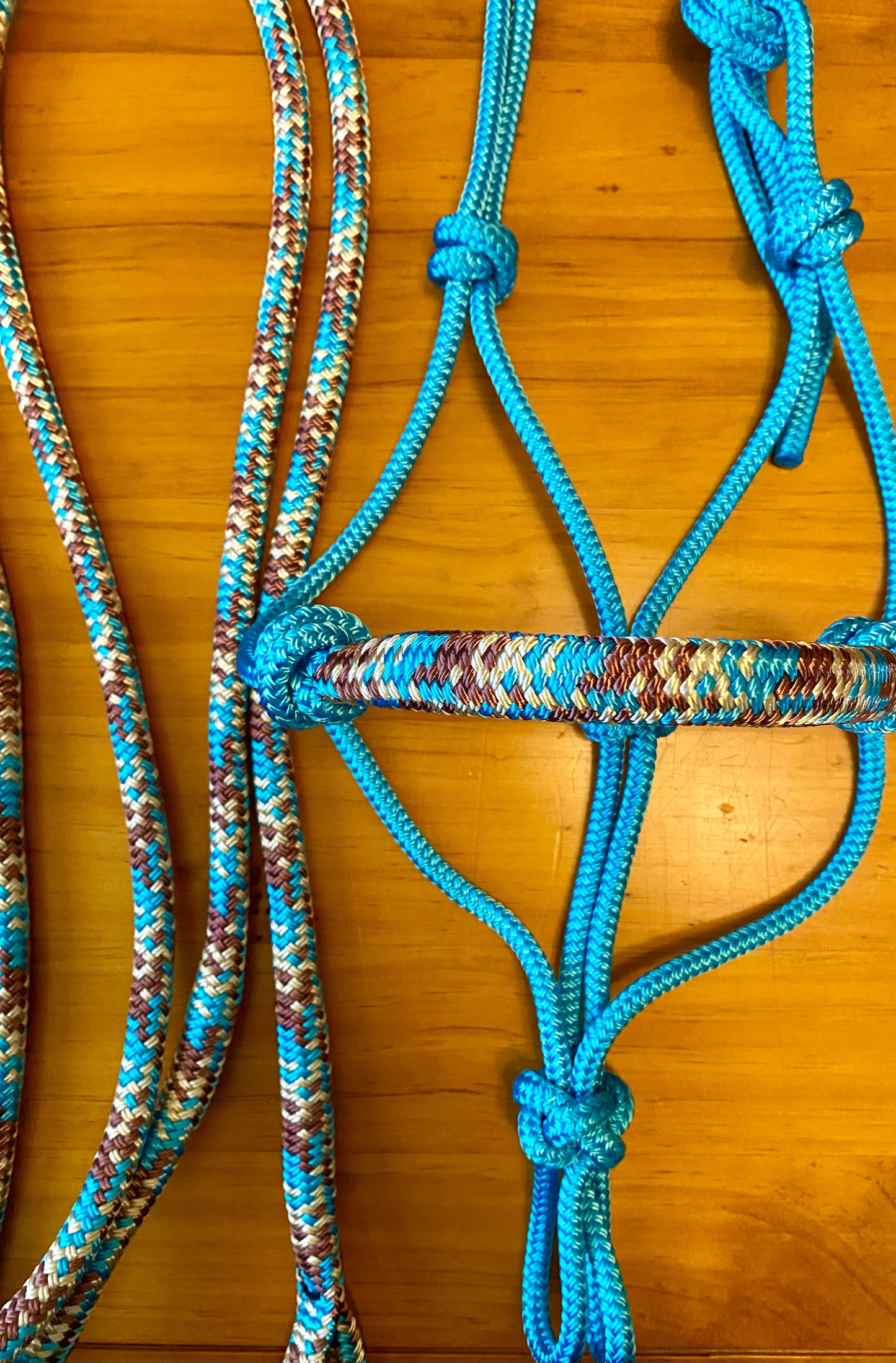 Cob/ Full-Size Halter & Lead sets with matching overlay nose band, leather popper