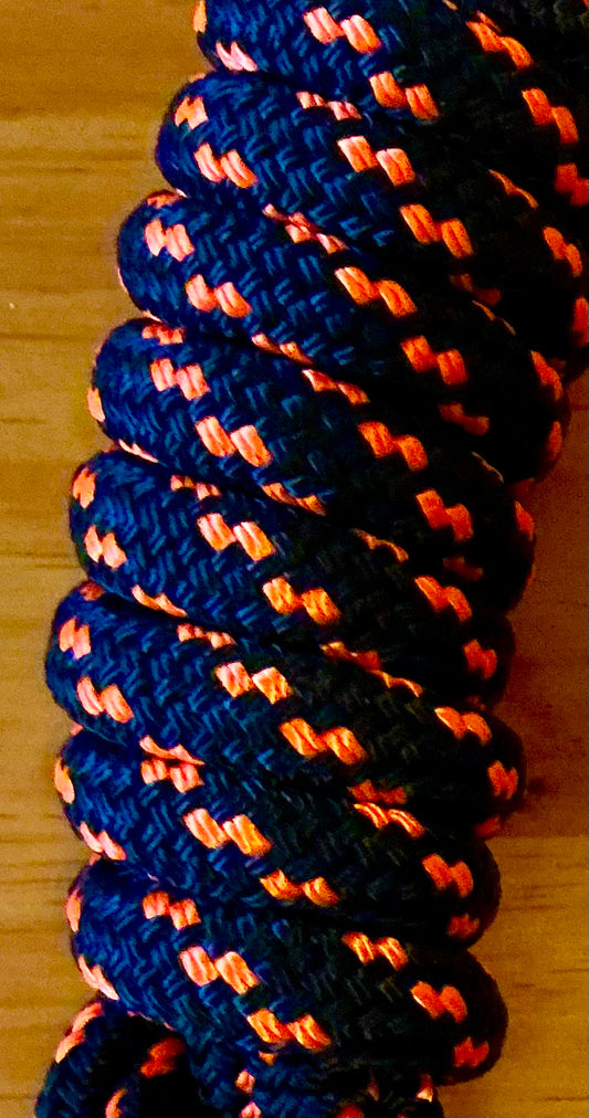 Lead Ropes 10ft