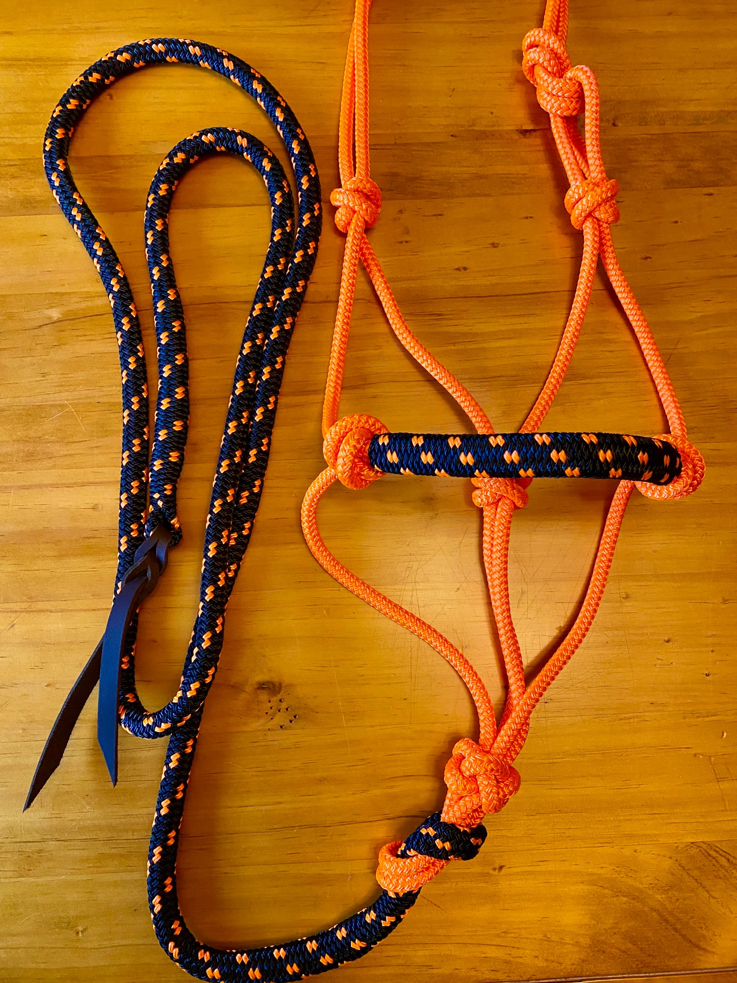 Cob/ Full-Size Halter & Lead sets with matching overlay nose band, leather popper