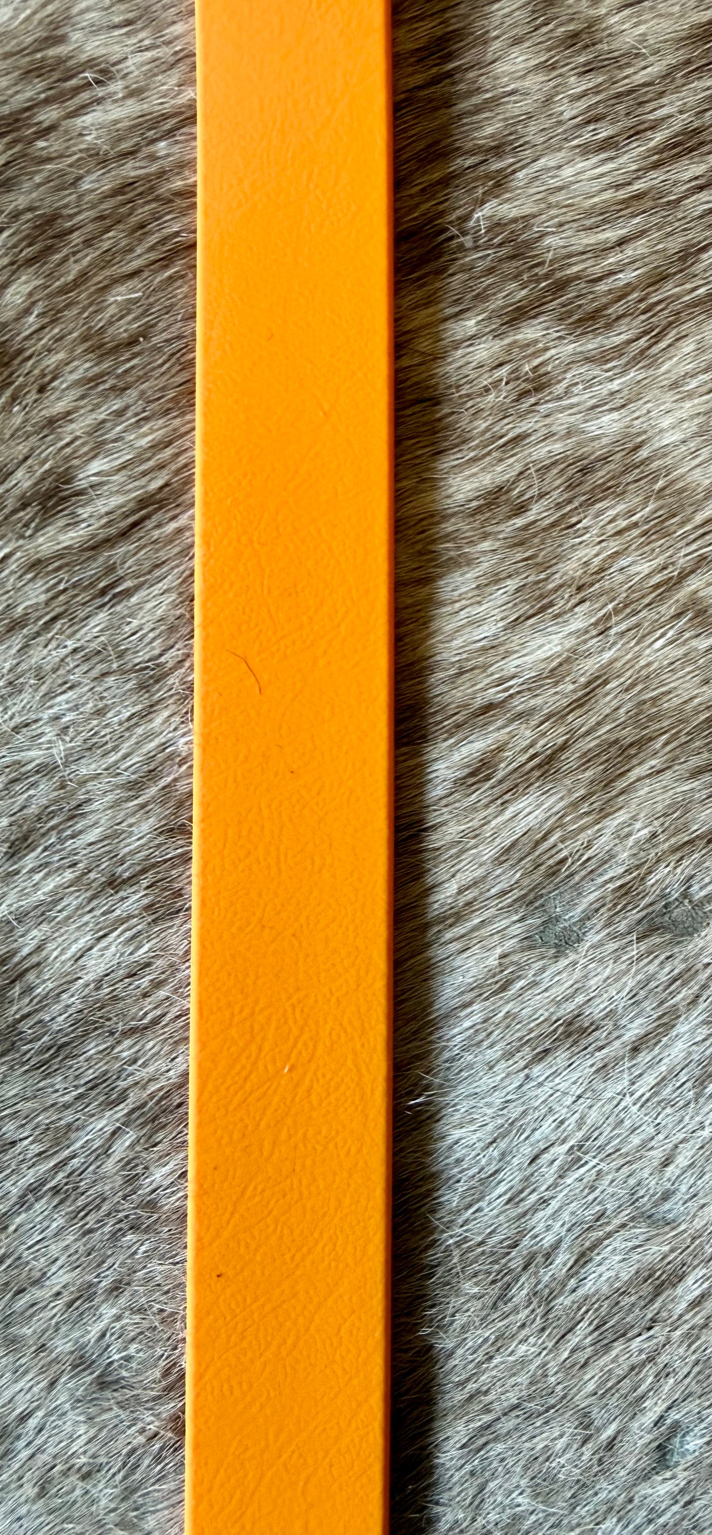 Biothane Dog Collars 25mm