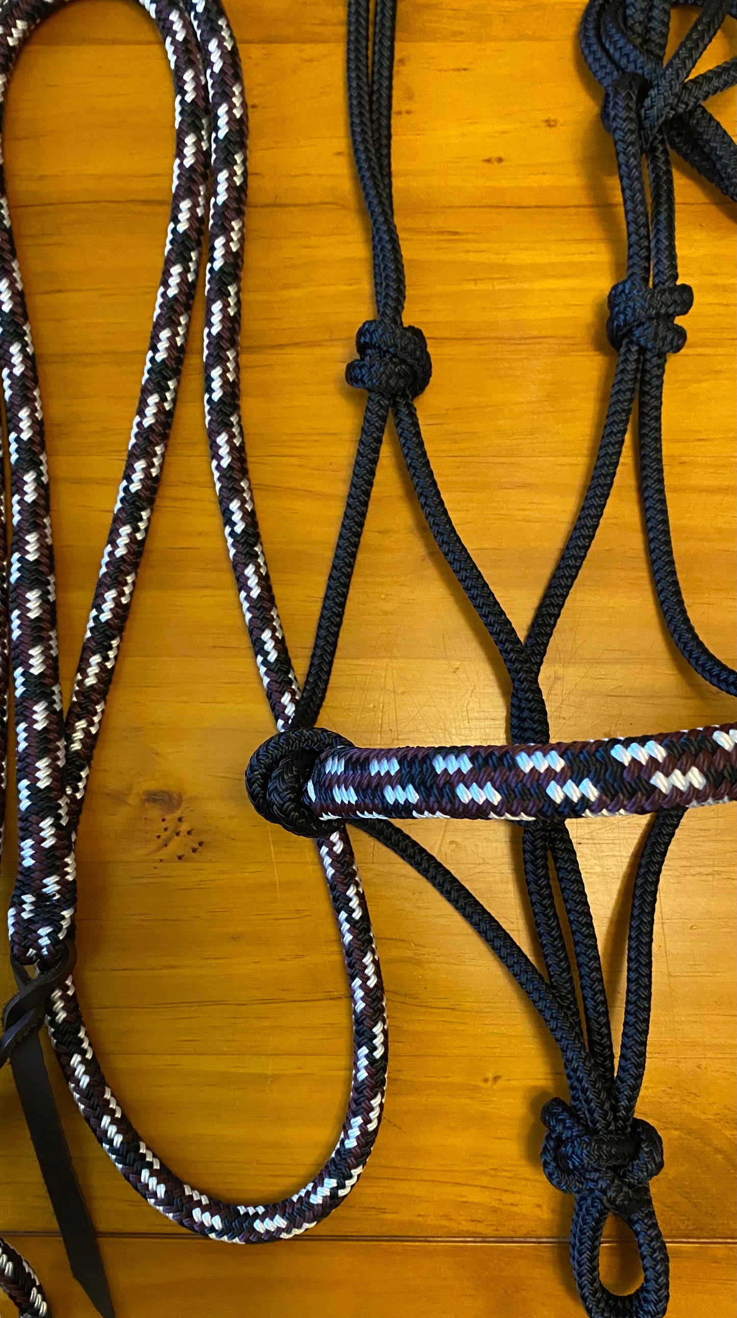 Cob/ Full-Size Halter & Lead sets with matching overlay nose band, leather popper