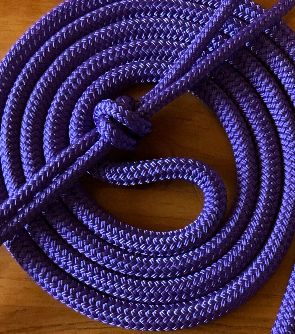 Cob/ Full-Size Halter & Lead sets with matching overlay nose band, leather popper