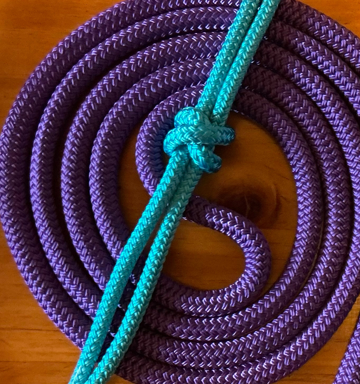 Cob/ Full-Size Halter & Lead sets with matching overlay nose band, leather popper