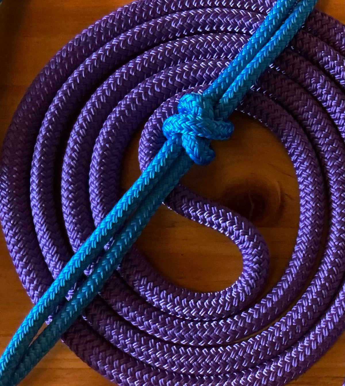 Cob/ Full-Size Halter & Lead sets with matching overlay nose band, leather popper