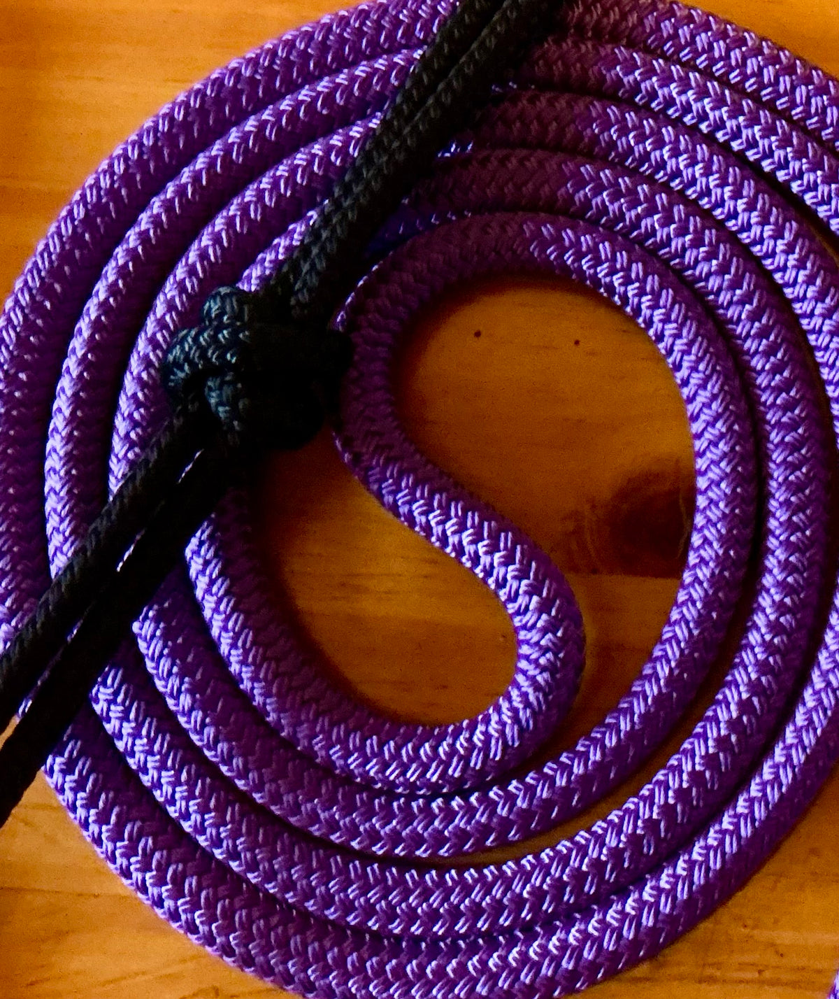 Cob/ Full-Size Halter & Lead sets with matching overlay nose band, leather popper