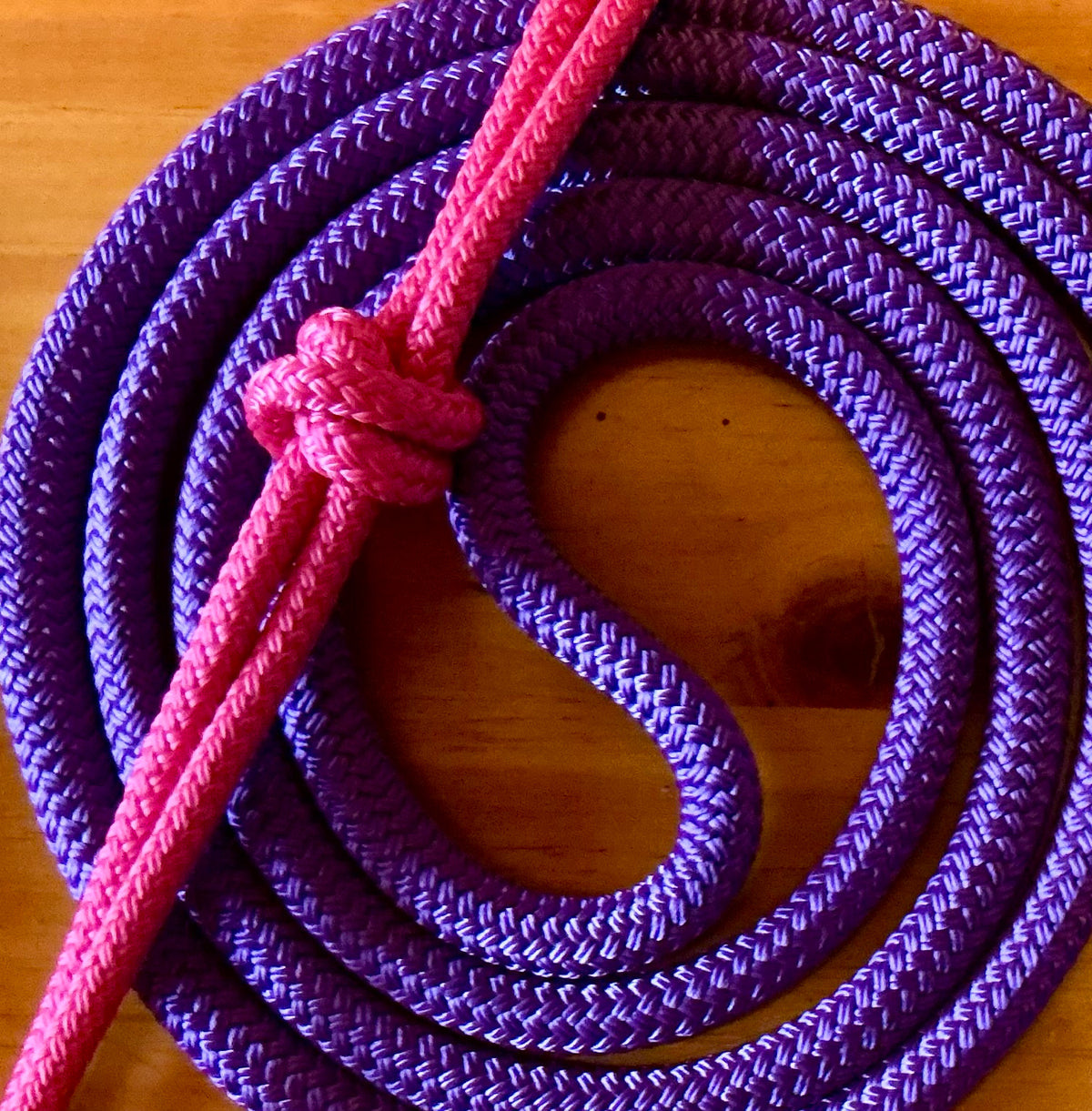 Cob/ Full-Size Halter & Lead sets with matching overlay nose band, leather popper