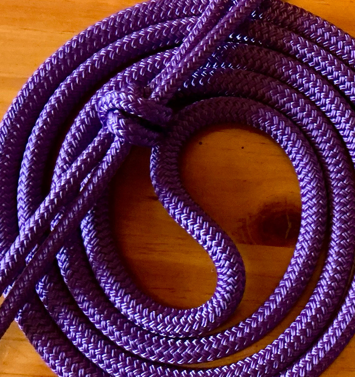 Cob/ Full-Size Halter & Lead sets with matching overlay nose band, leather popper