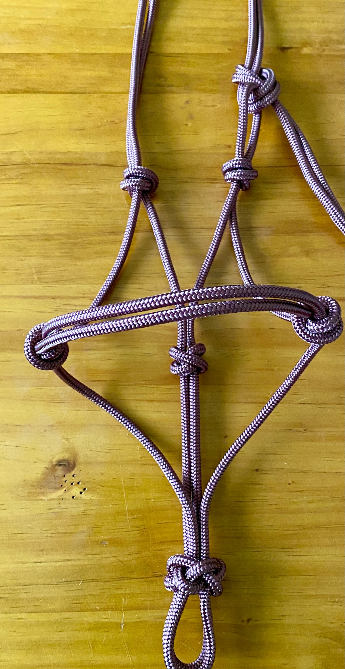 Stiff Rope Training Halter