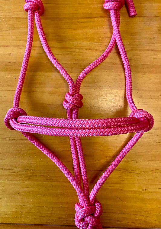 Full-size and Cob size Halters