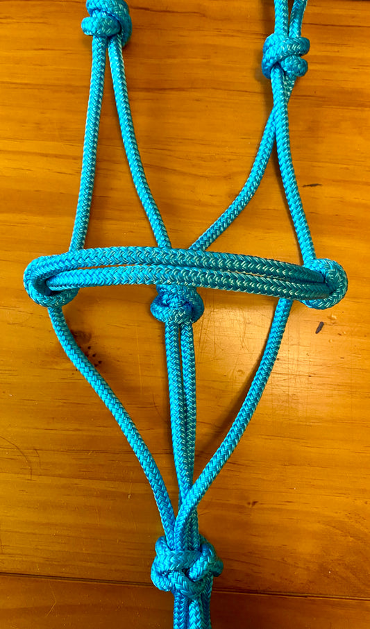Pony and Mini size Halters