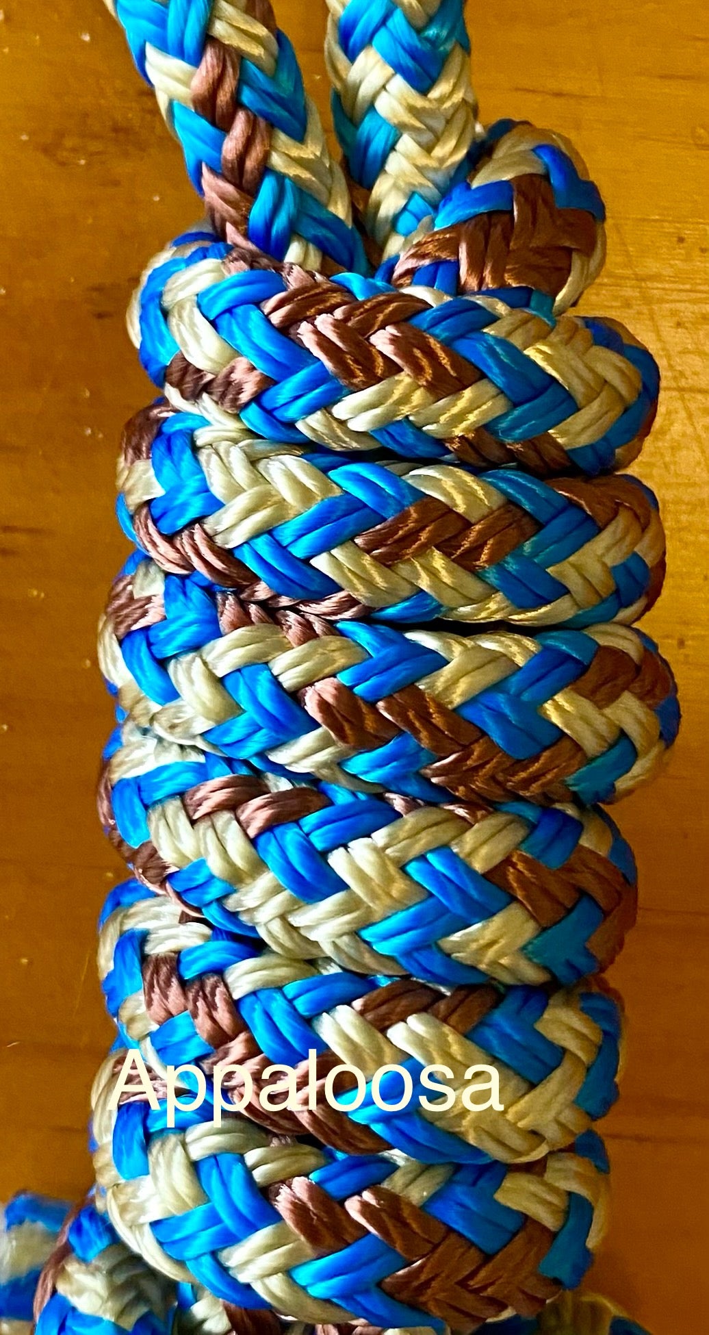Rope Training slip Lead Dog