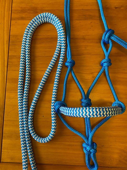 Mini/ Foal Size Halter & Lead sets with matching overlay nose band, leather popper