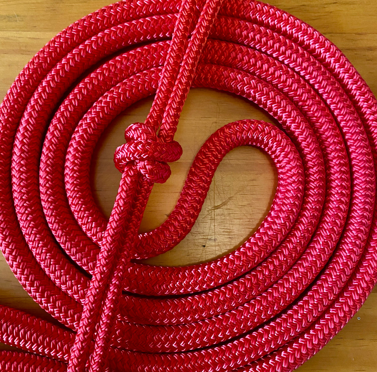 Cob/ Full-Size Halter & Lead sets with matching overlay nose band, leather popper