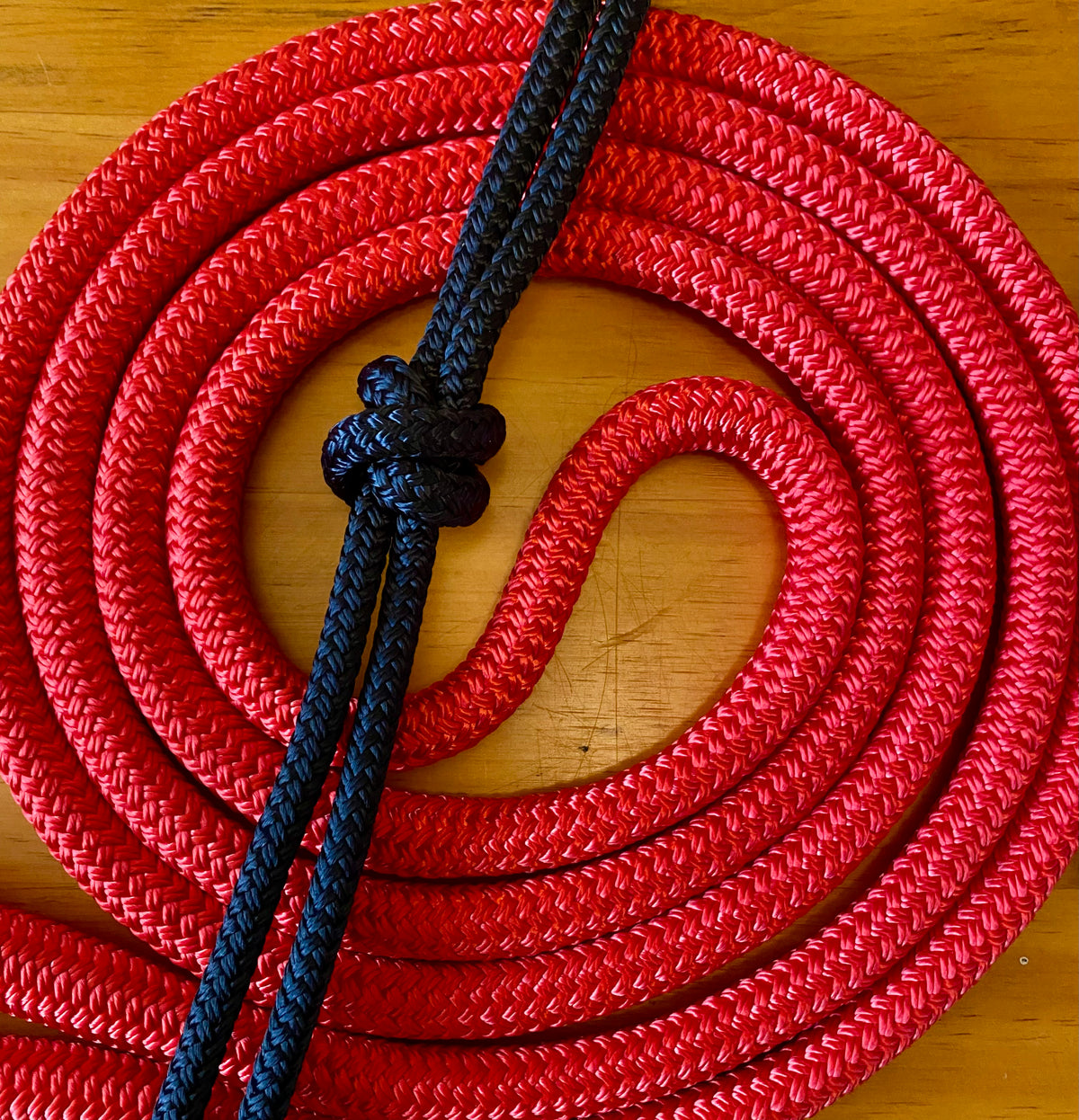Cob/ Full-Size Halter & Lead sets with matching overlay nose band, leather popper