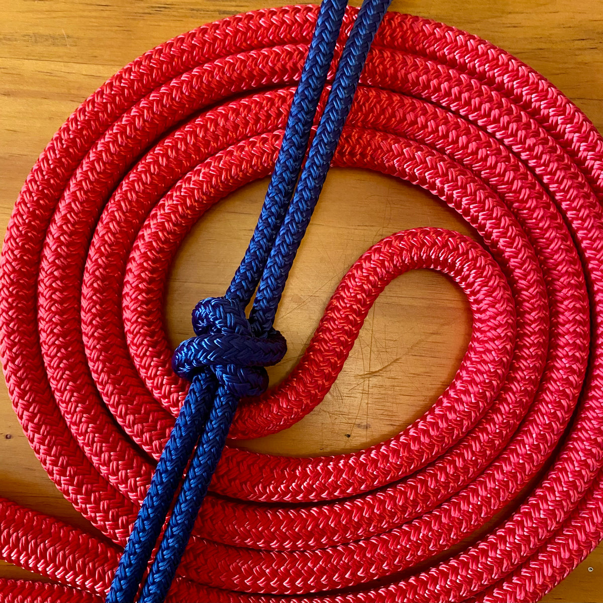 Cob/ Full-Size Halter & Lead sets with matching overlay nose band, leather popper
