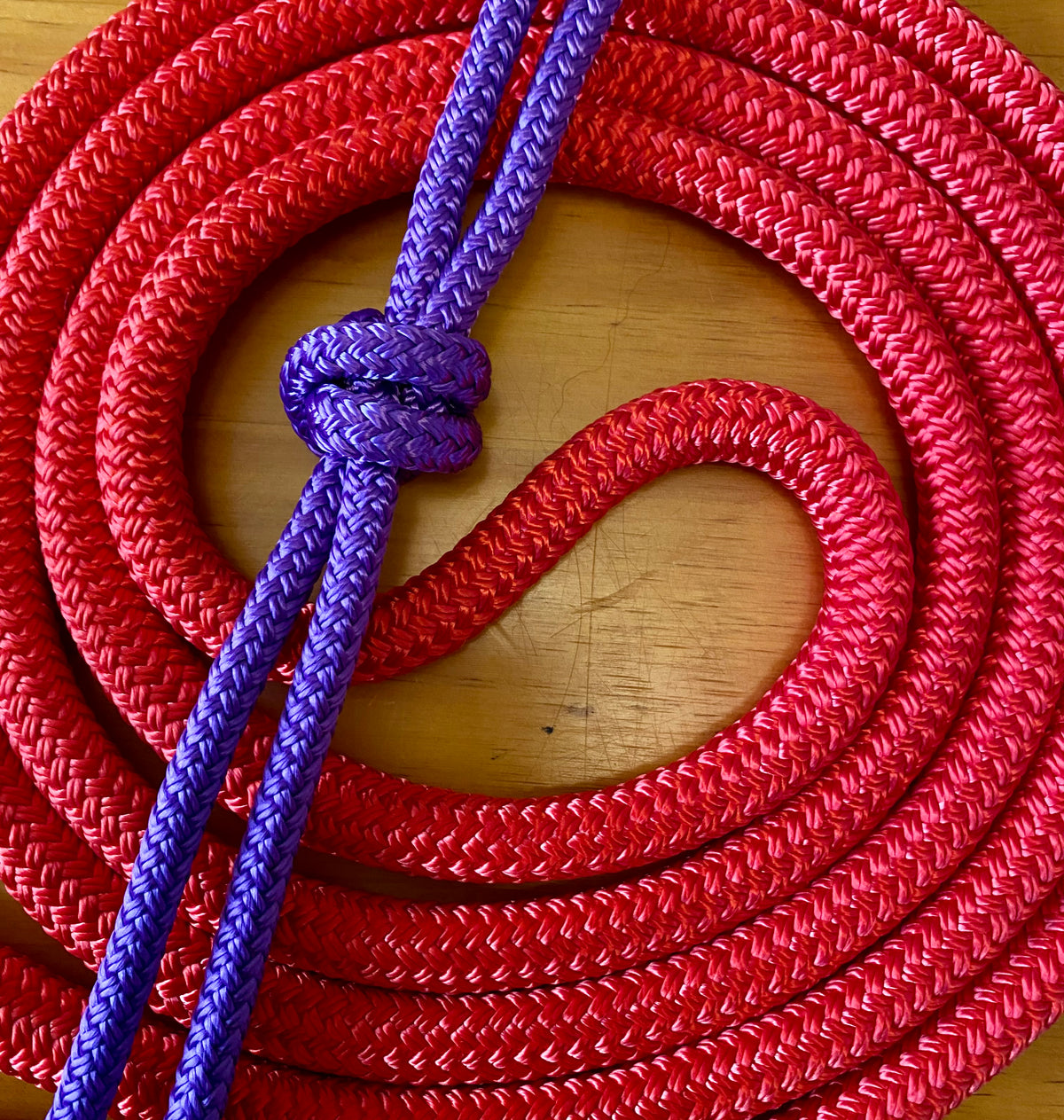 Cob/ Full-Size Halter & Lead sets with matching overlay nose band, leather popper
