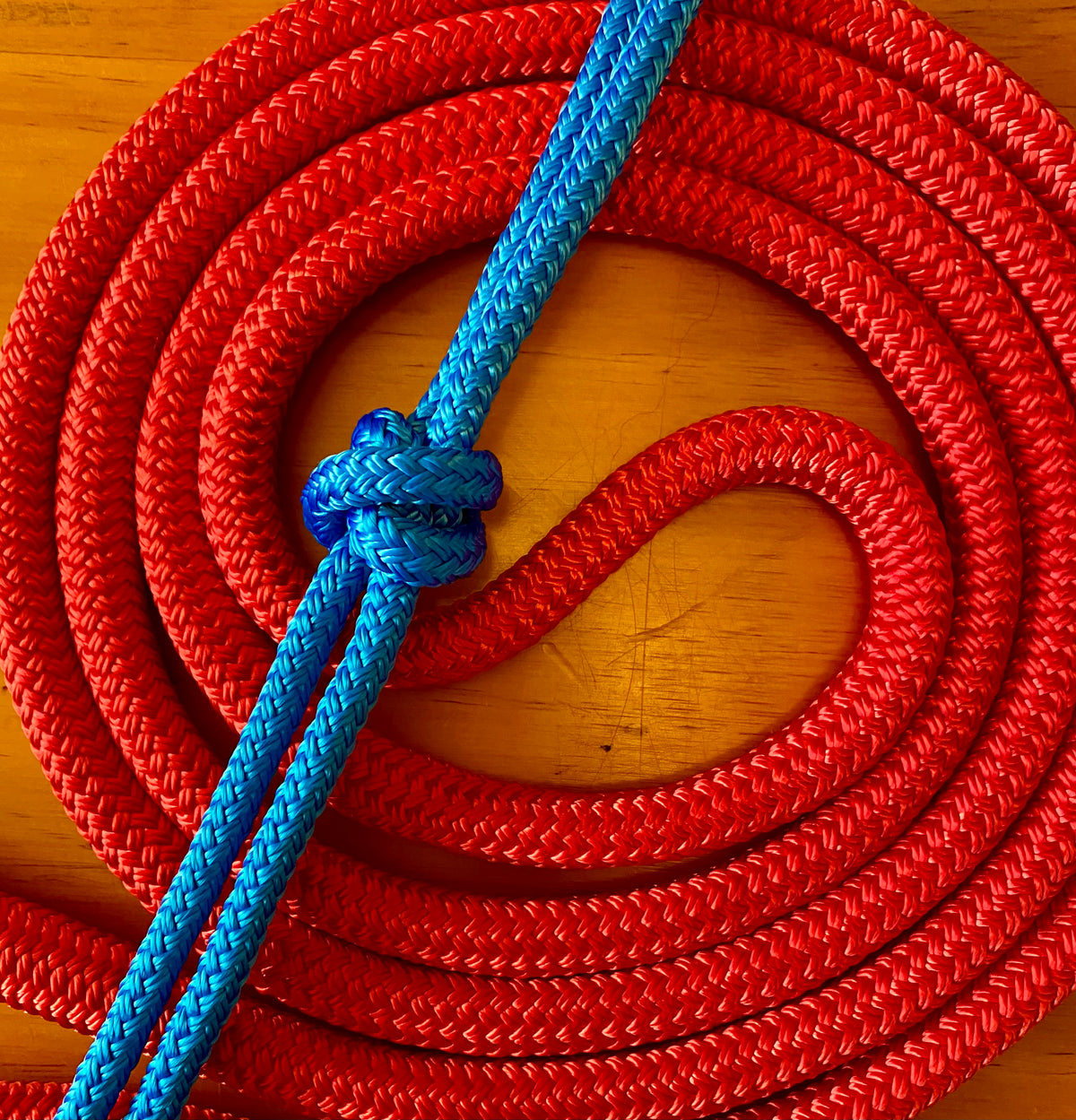 Cob/ Full-Size Halter & Lead sets with matching overlay nose band, leather popper