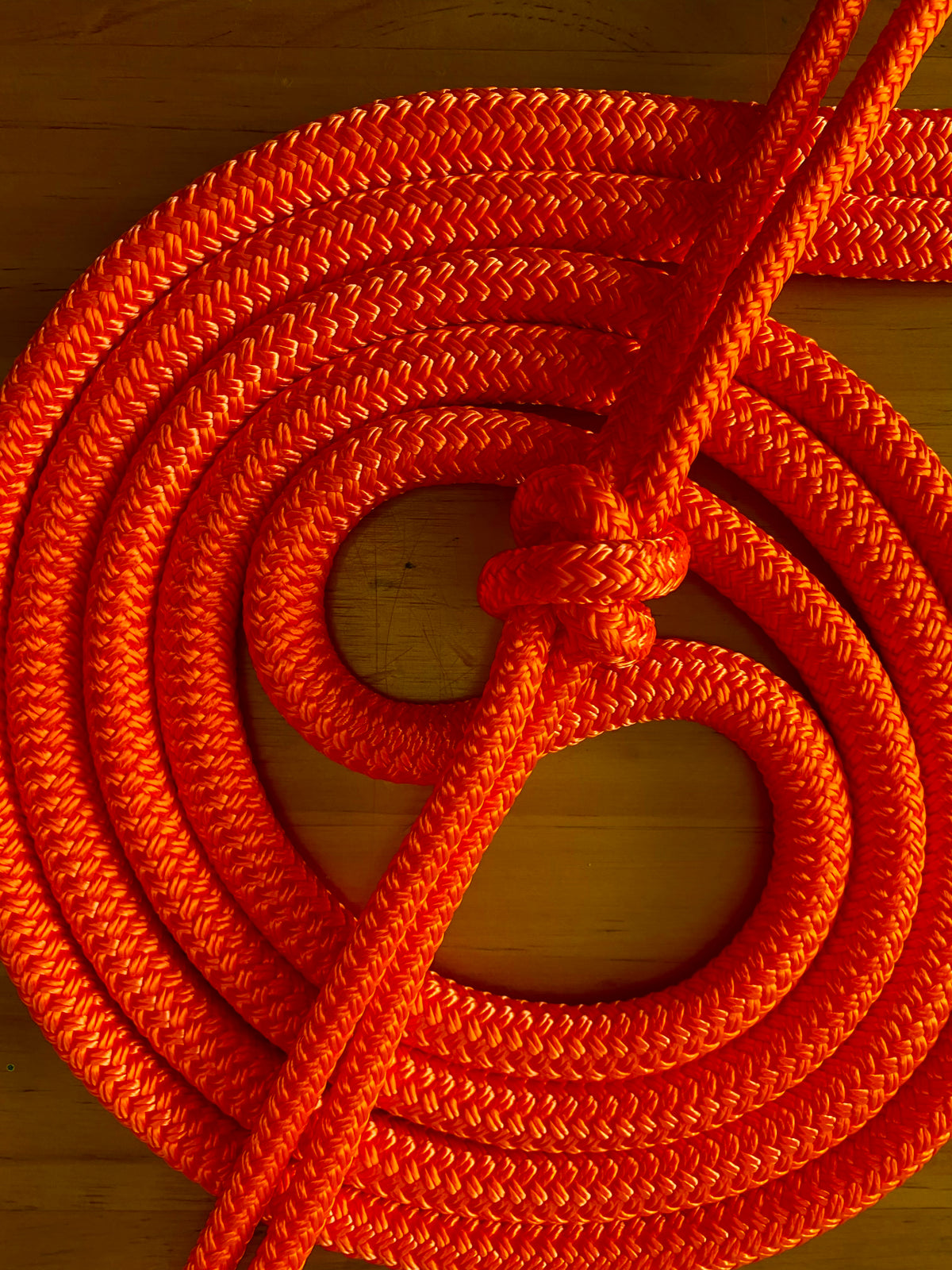 Cob/ Full-Size Halter & Lead sets with matching overlay nose band, leather popper