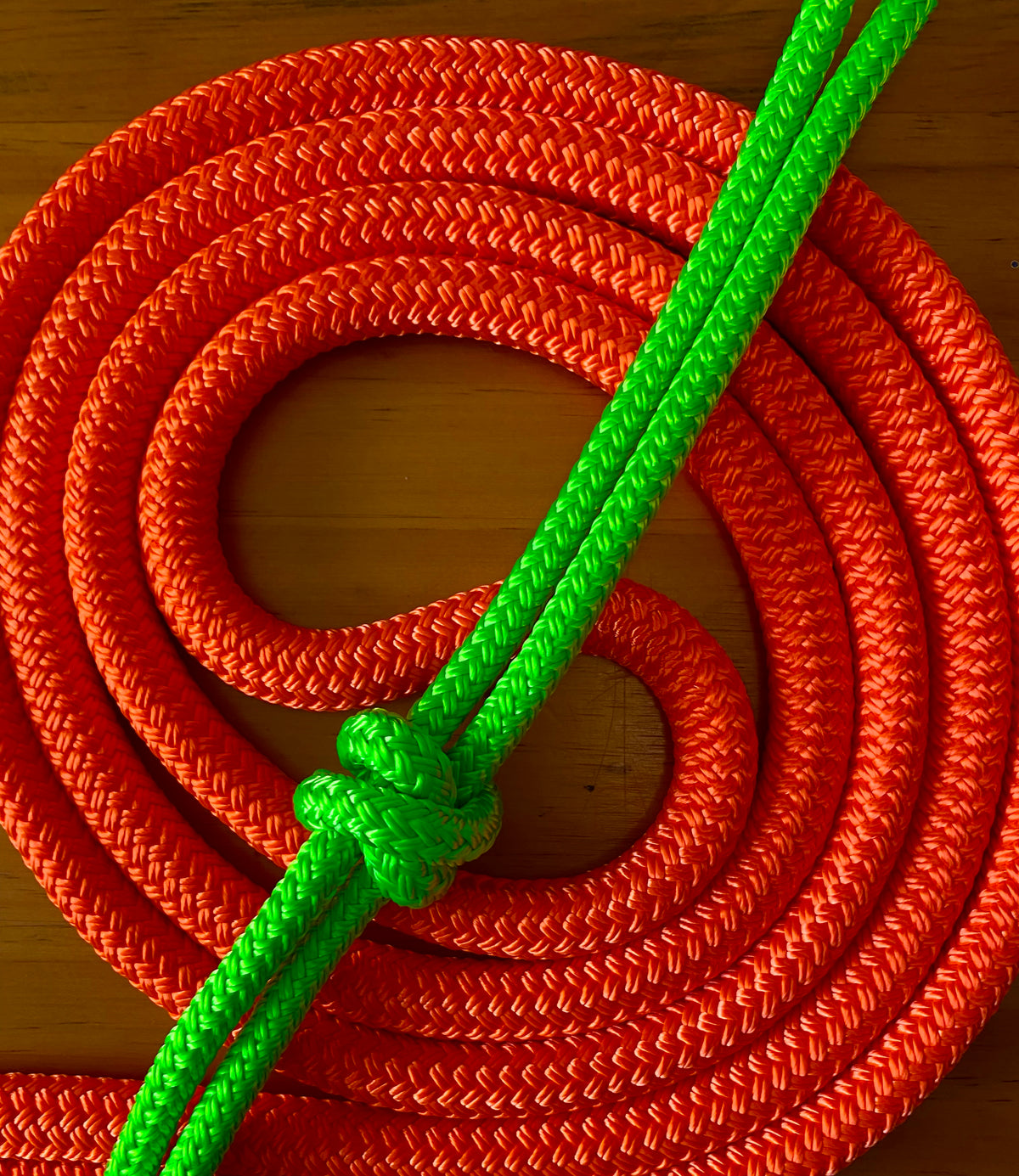 Cob/ Full-Size Halter & Lead sets with matching overlay nose band, leather popper