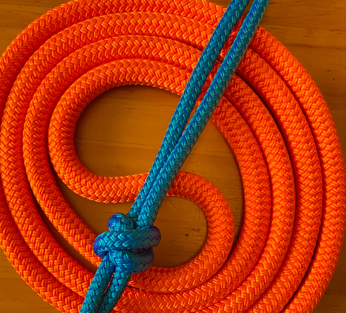 Cob/ Full-Size Halter & Lead sets with matching overlay nose band, leather popper