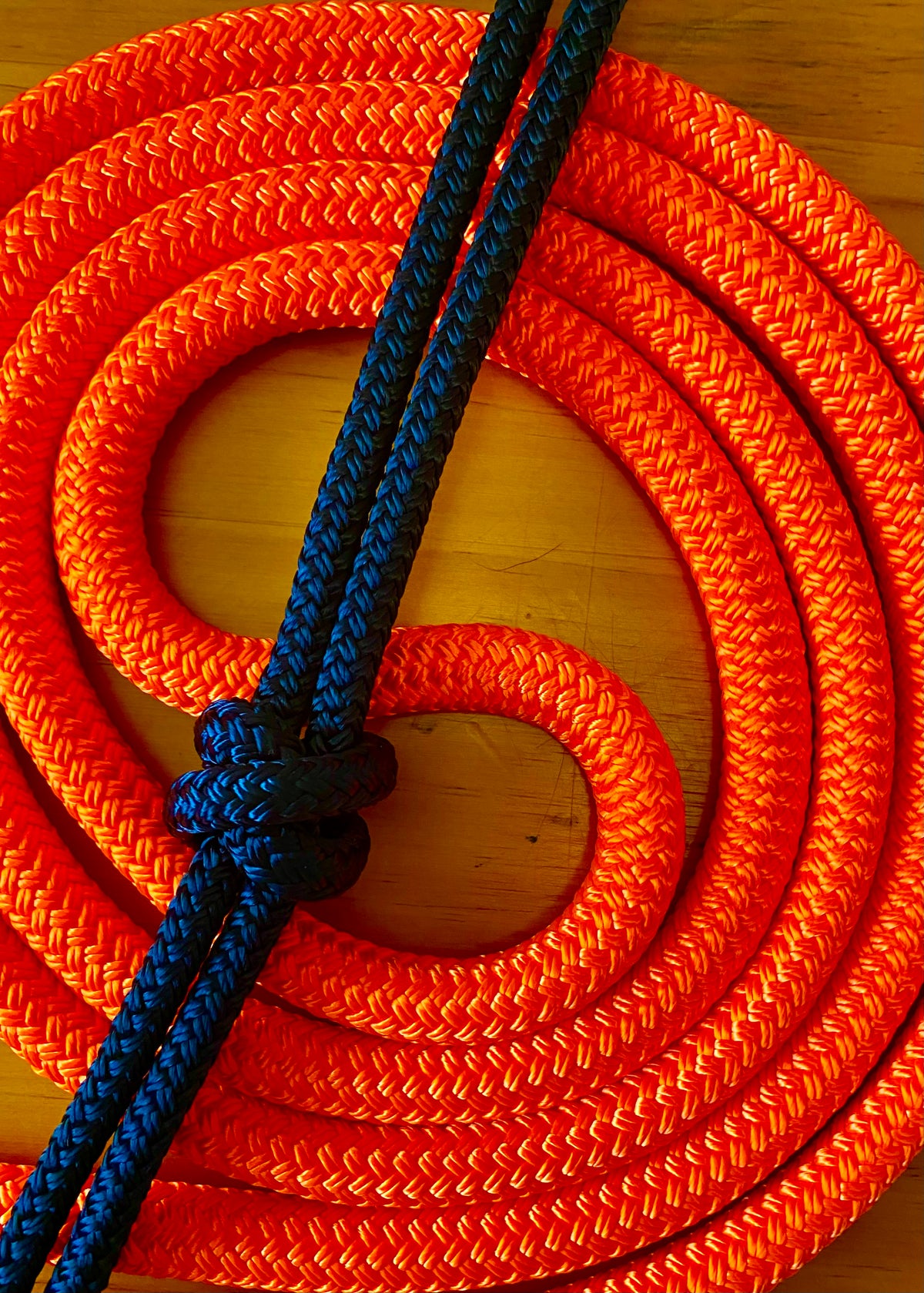 Cob/ Full-Size Halter & Lead sets with matching overlay nose band, leather popper