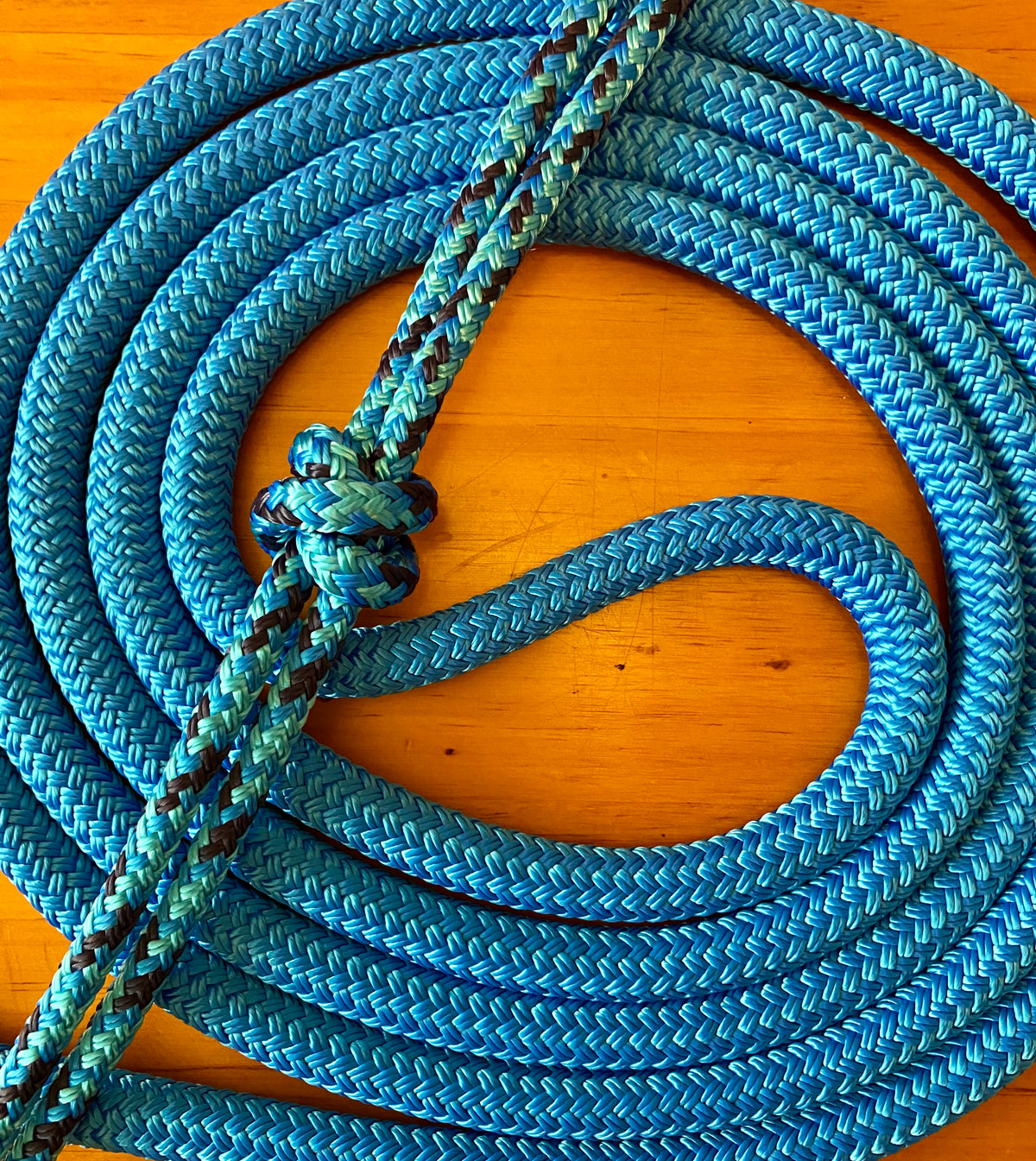 Cob/ Full-Size Halter & Lead sets with matching overlay nose band, leather popper