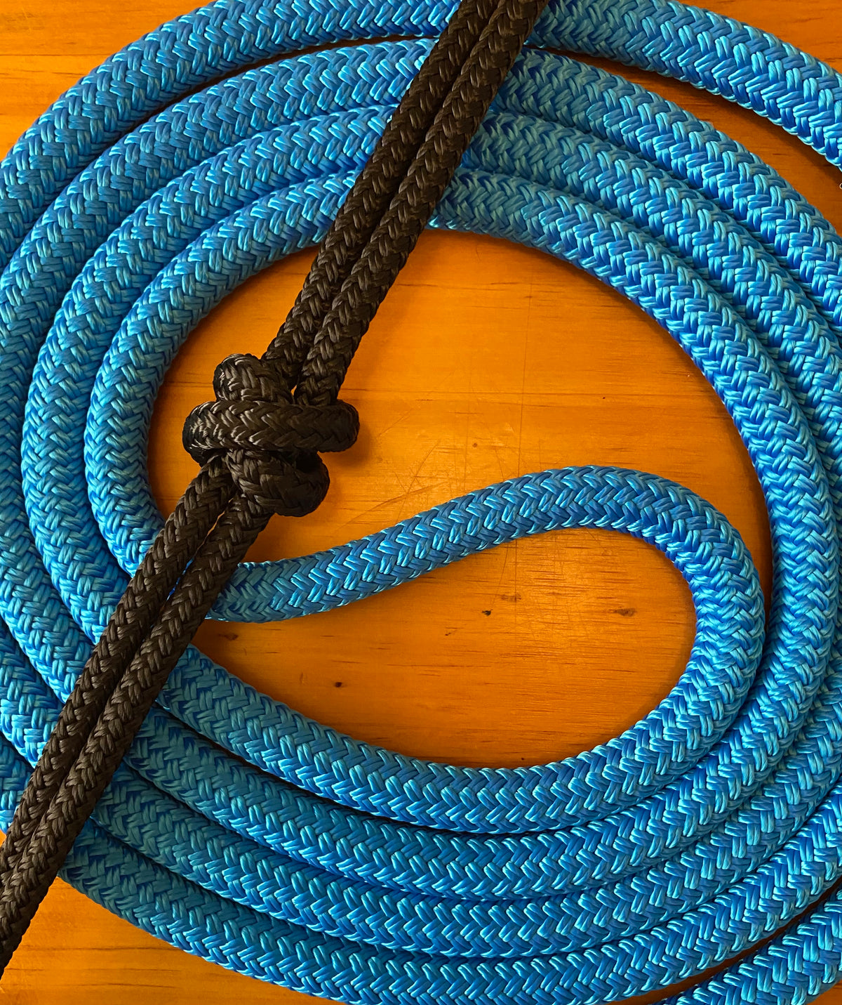Cob/ Full-Size Halter & Lead sets with matching overlay nose band, leather popper