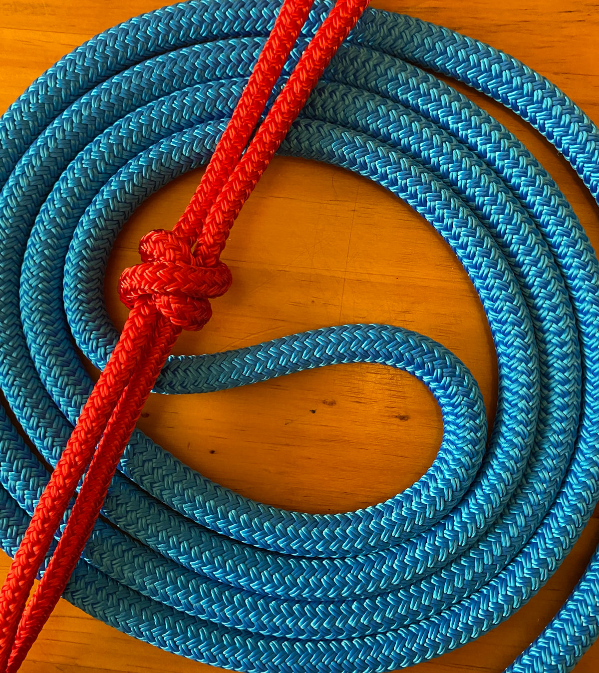 Cob/ Full-Size Halter & Lead sets with matching overlay nose band, leather popper