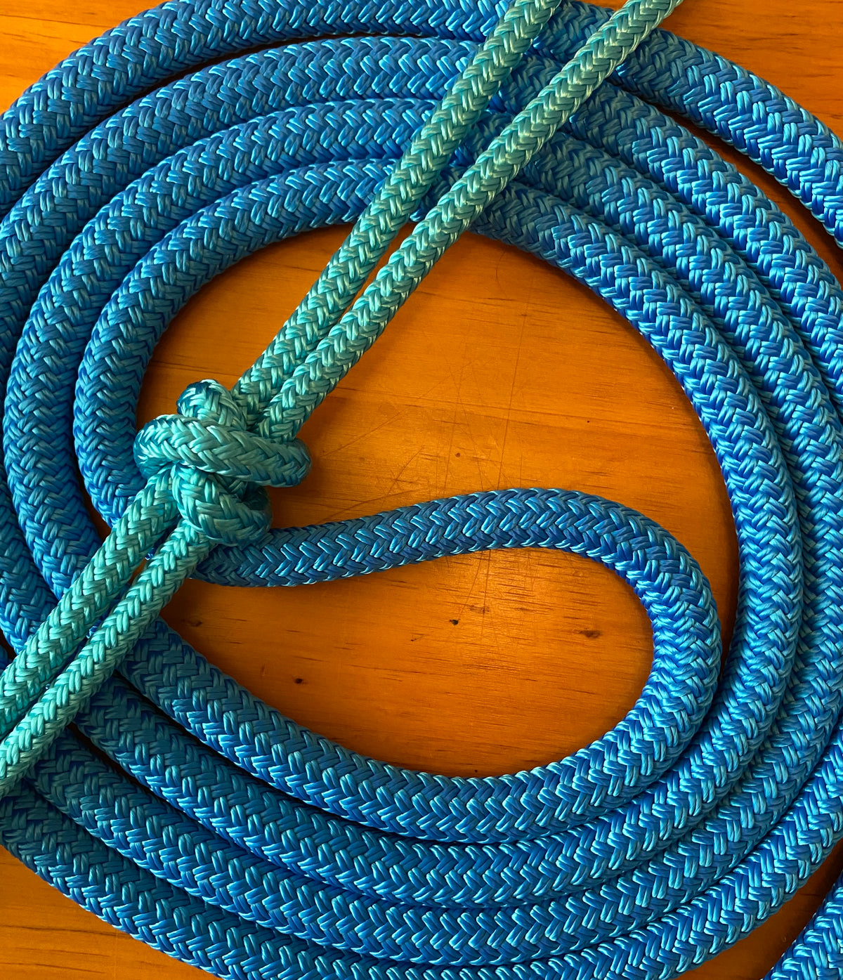Cob/ Full-Size Halter & Lead sets with matching overlay nose band, leather popper