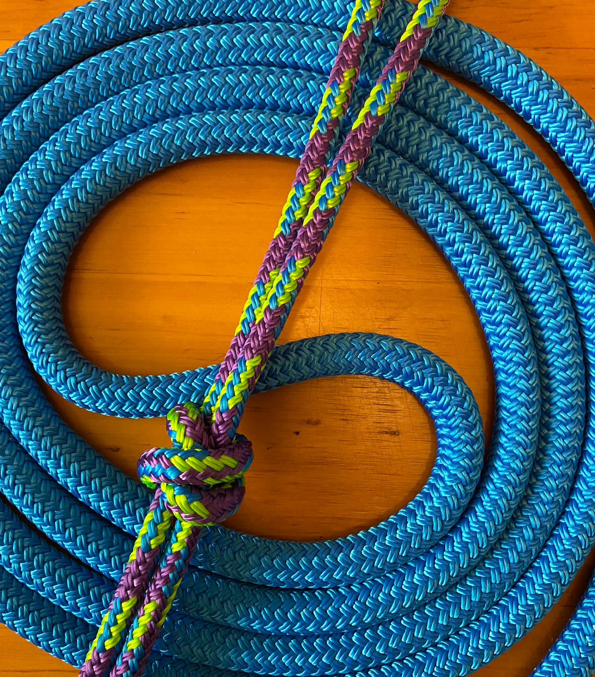 Cob/ Full-Size Halter & Lead sets with matching overlay nose band, leather popper