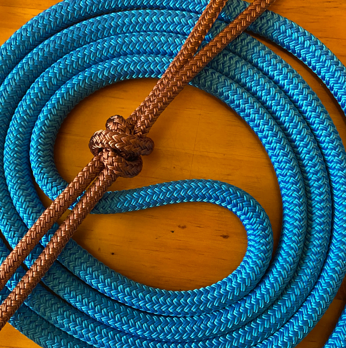 Cob/ Full-Size Halter & Lead sets with matching overlay nose band, leather popper