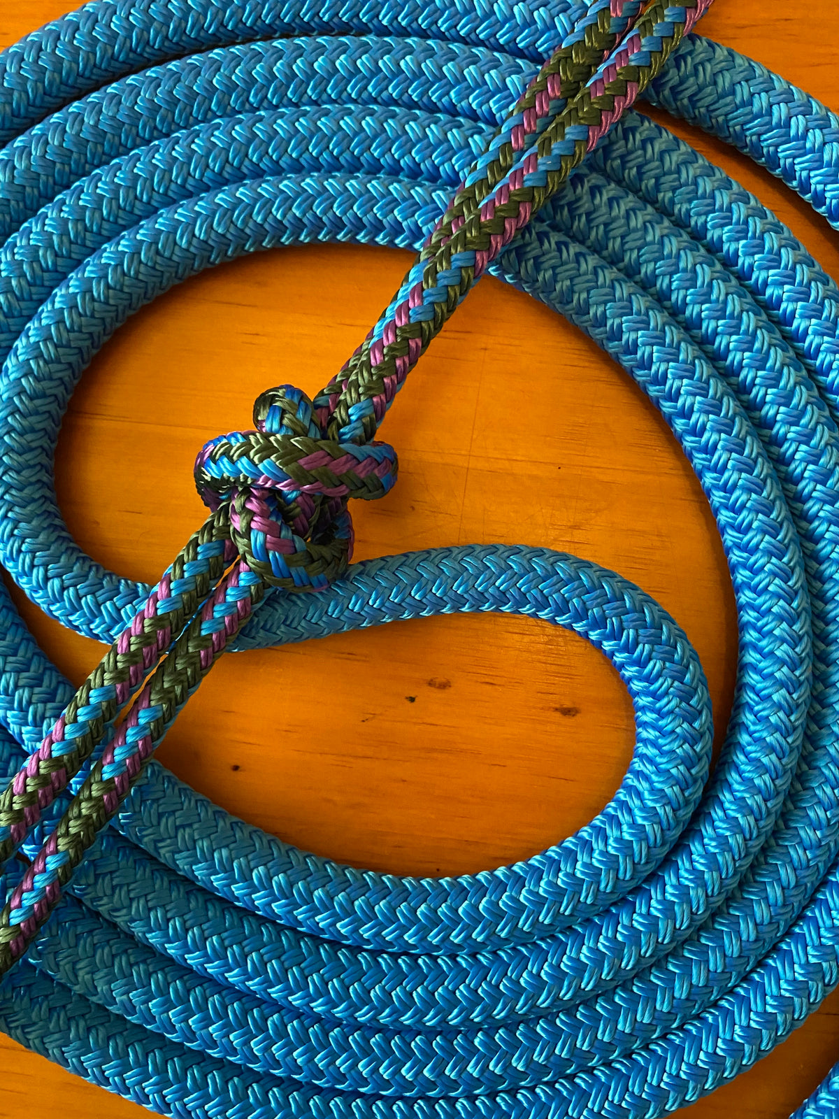 Cob/ Full-Size Halter & Lead sets with matching overlay nose band, leather popper