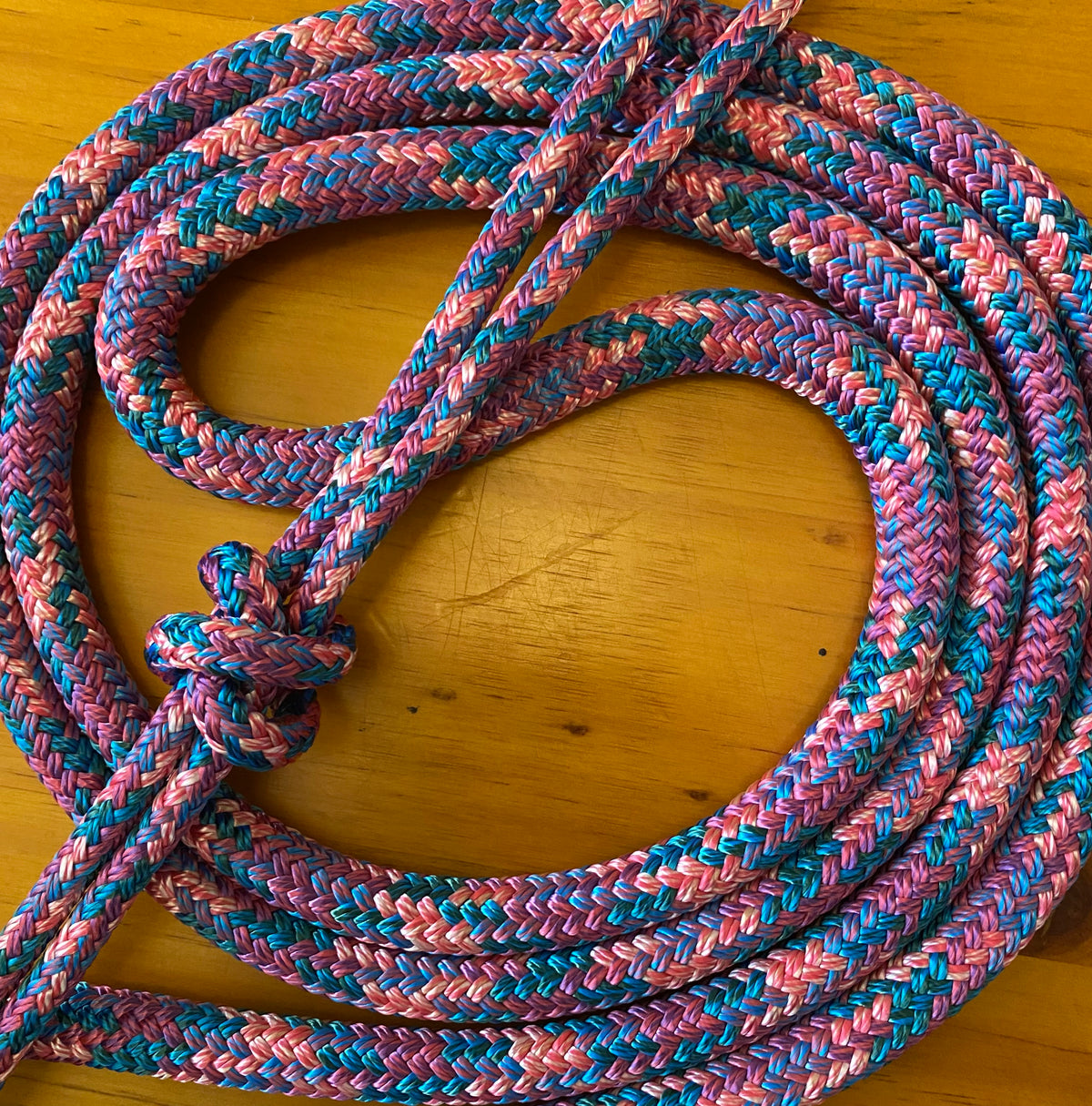 Cob/ Full-Size Halter & Lead sets with matching overlay nose band, leather popper