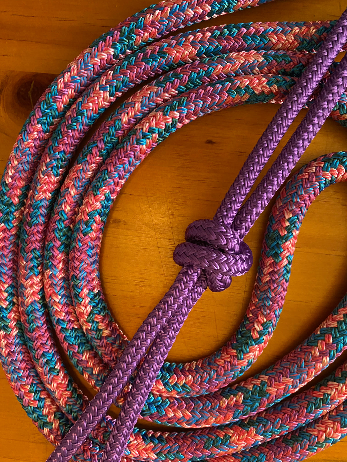 Cob/ Full-Size Halter & Lead sets with matching overlay nose band, leather popper