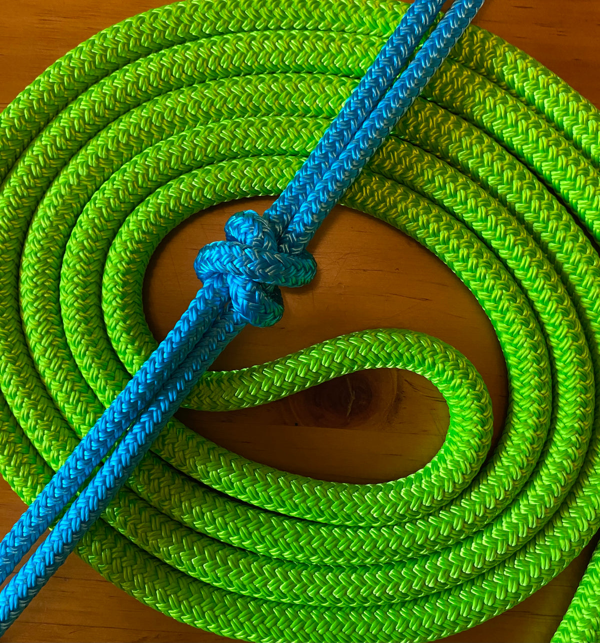 Cob/ Full-Size Halter & Lead sets with matching overlay nose band, leather popper