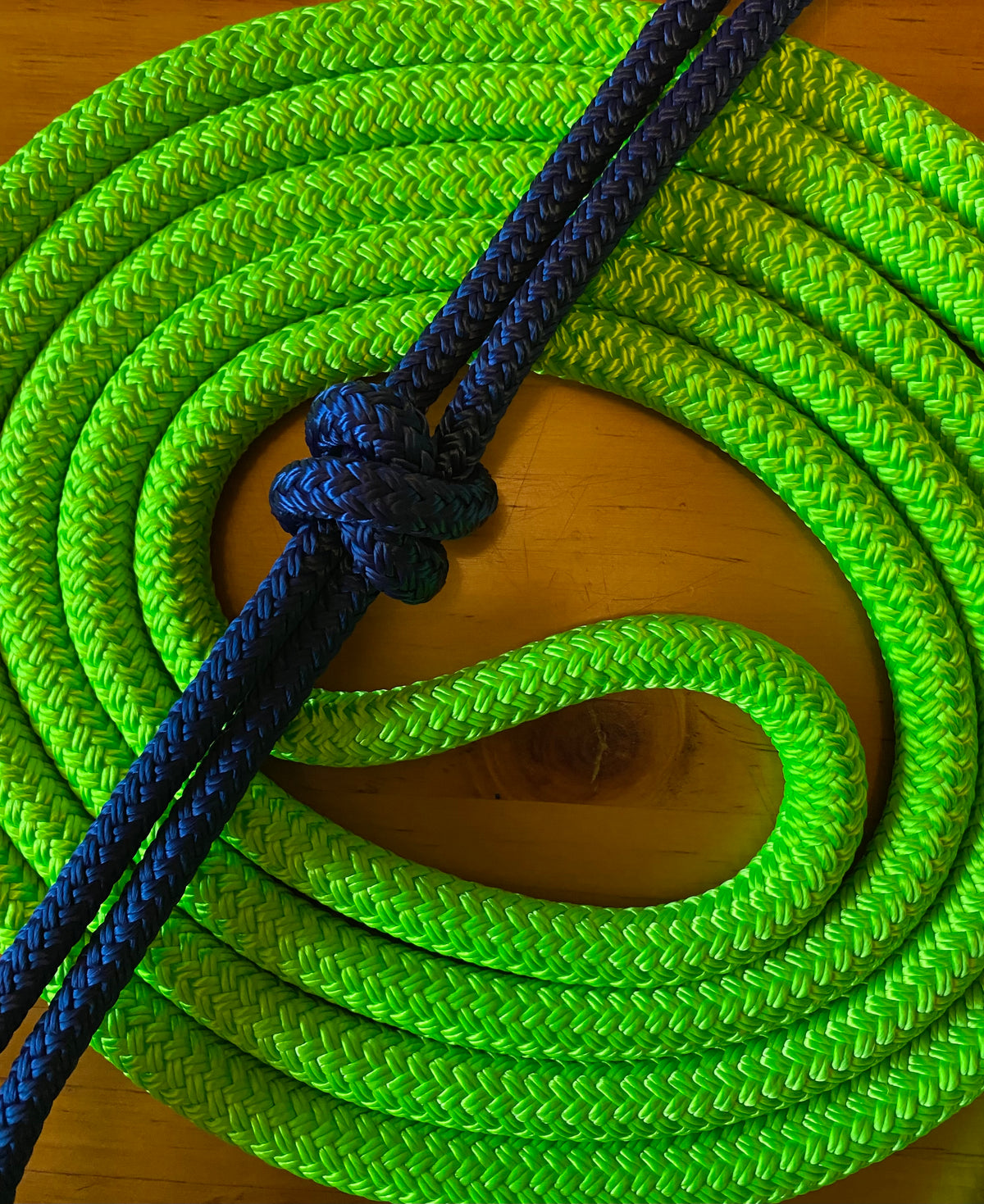 Cob/ Full-Size Halter & Lead sets with matching overlay nose band, leather popper