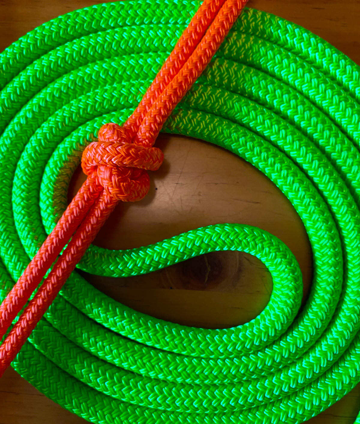 Cob/ Full-Size Halter & Lead sets with matching overlay nose band, leather popper