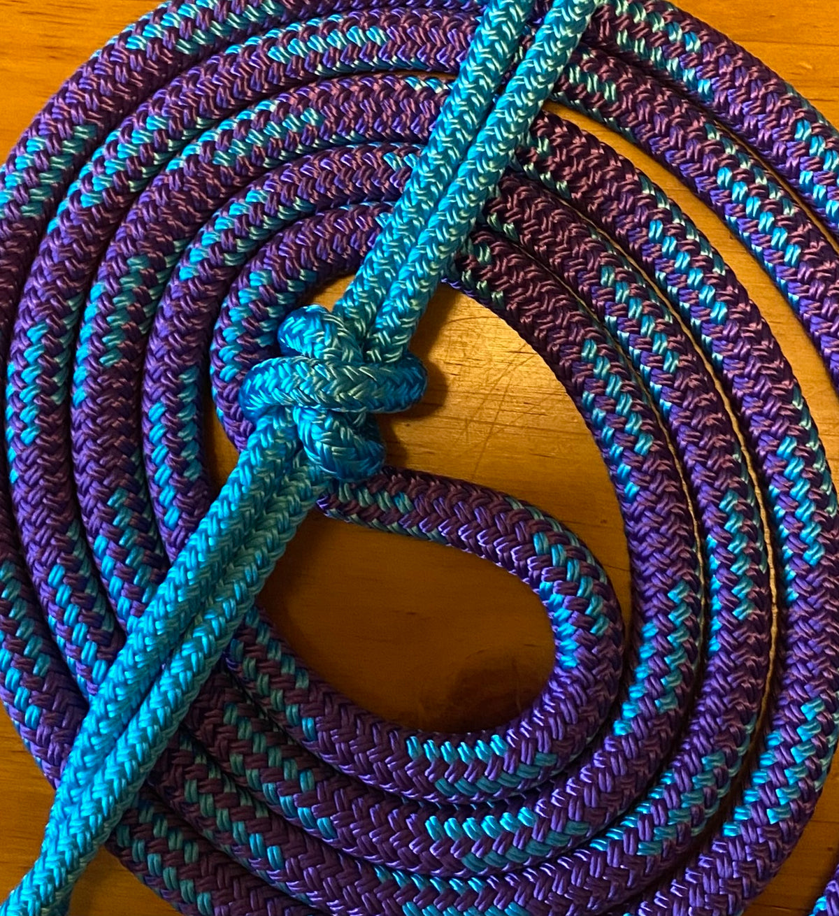 Cob/ Full-Size Halter & Lead sets with matching overlay nose band, leather popper