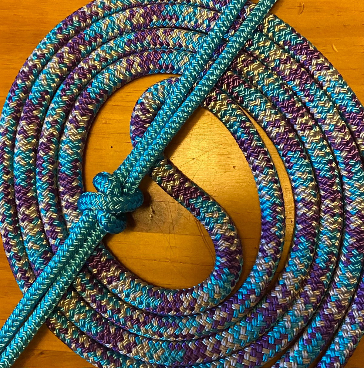 Cob/ Full-Size Halter & Lead sets with matching overlay nose band, leather popper