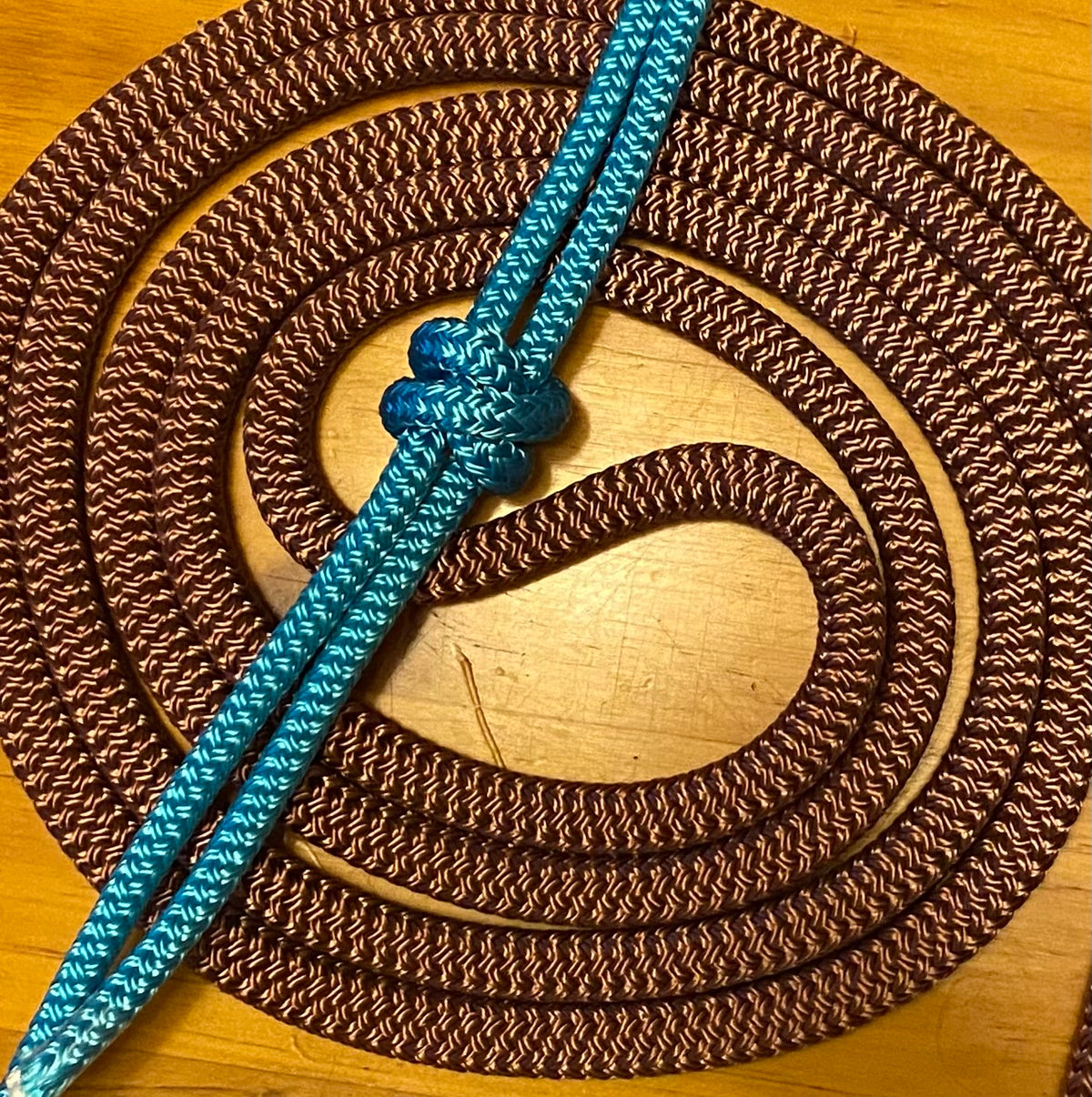 Cob/ Full-Size Halter & Lead sets with matching overlay nose band, leather popper