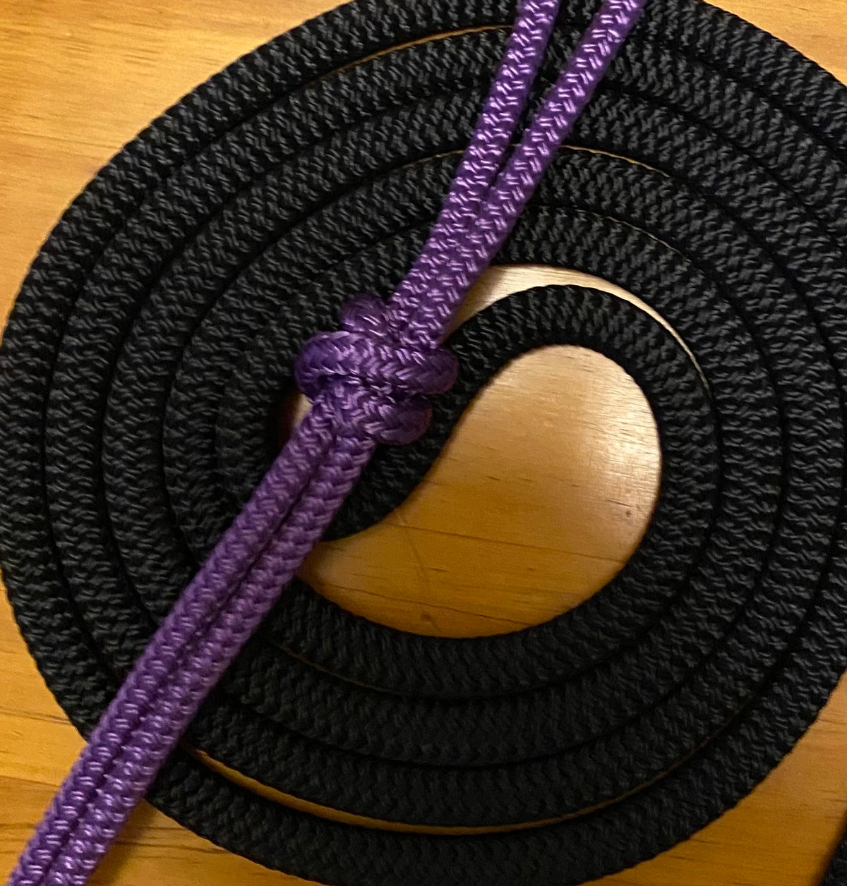 Cob/ Full-Size Halter & Lead sets with matching overlay nose band, leather popper