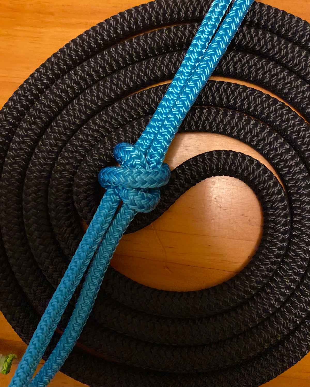 Cob/ Full-Size Halter & Lead sets with matching overlay nose band, leather popper