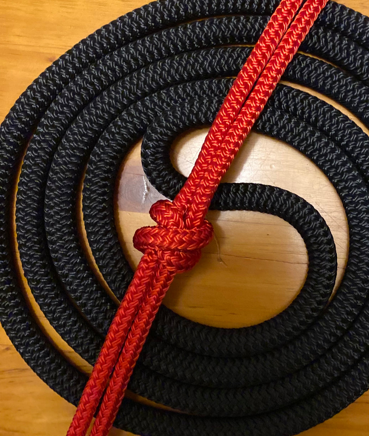 Cob/ Full-Size Halter & Lead sets with matching overlay nose band, leather popper