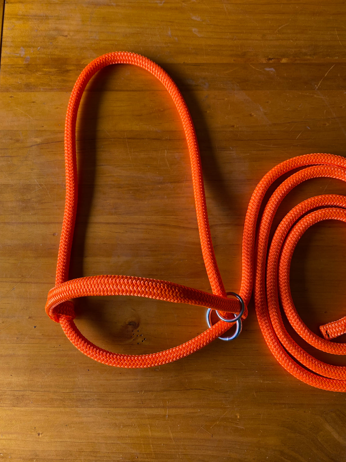Cattle Halters